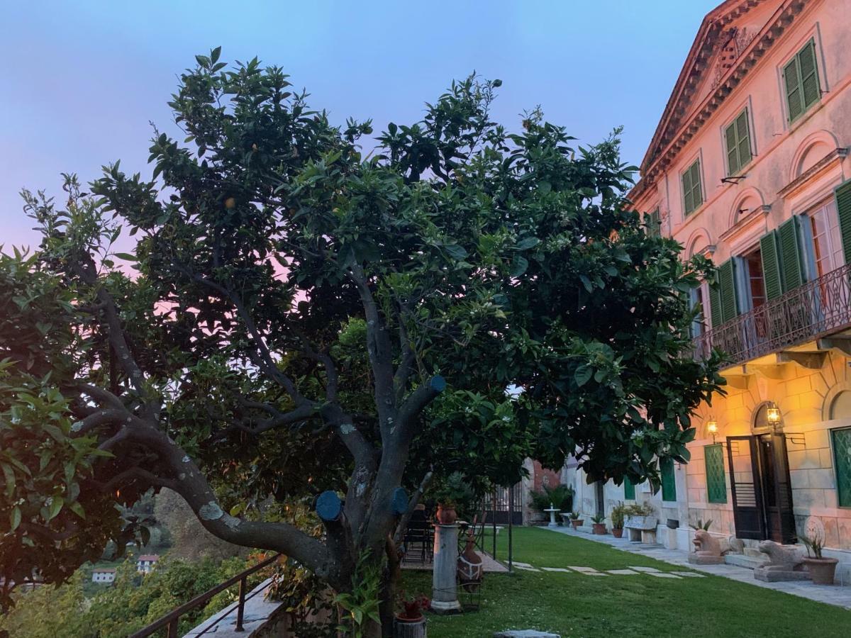 Cavallini * Camaiore