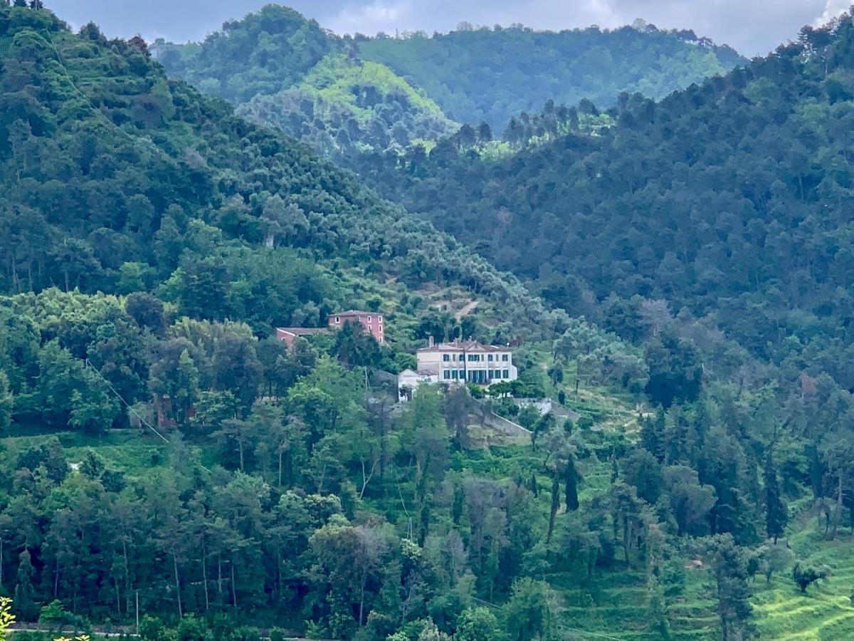 Cavallini Alojamento de Turismo Rural