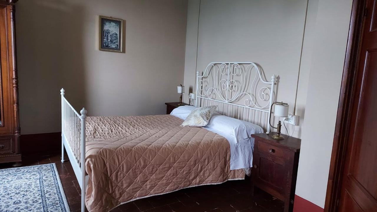 Cavallini Camaiore