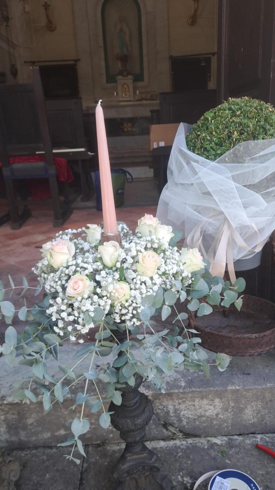 Farm stay Cavallini Camaiore