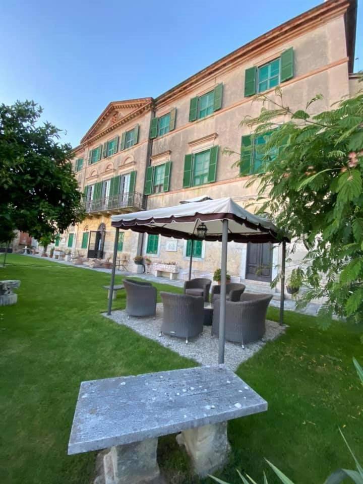 Cavallini Camaiore