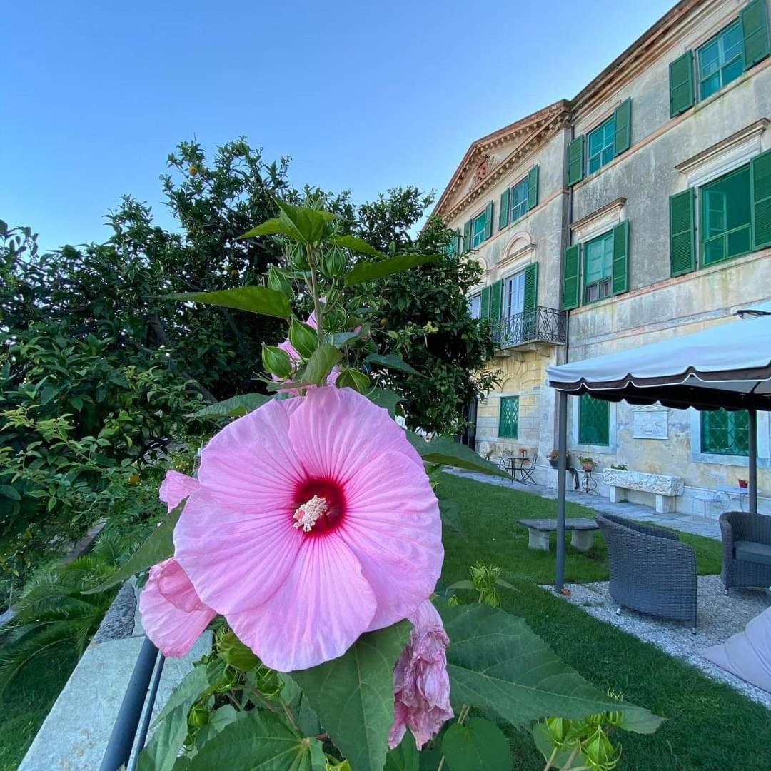 Vakantieboerderij Cavallini Camaiore