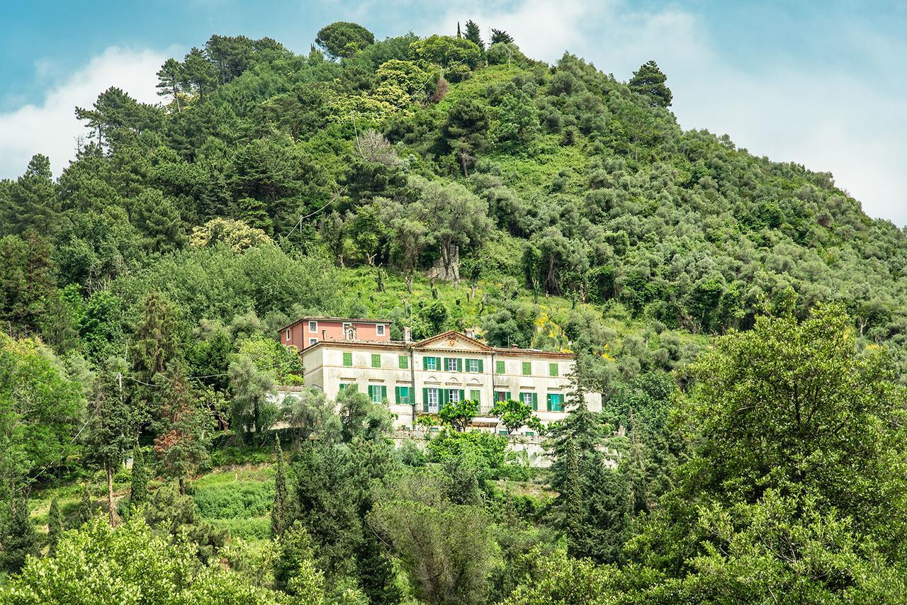 Cavallini Bauernhof *